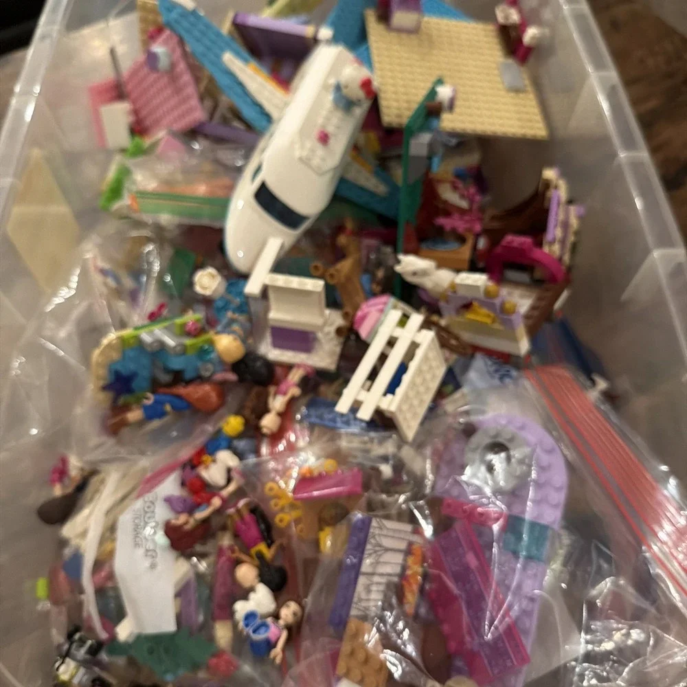 LEGO Friends Mini Dolls Animals Accessories Plane Van Manual Disney Sets Parts